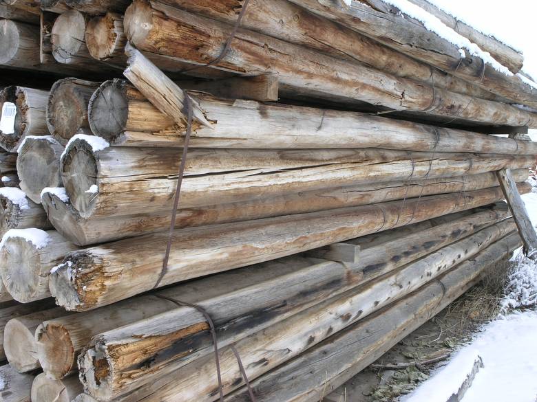 Potato cellar Poles