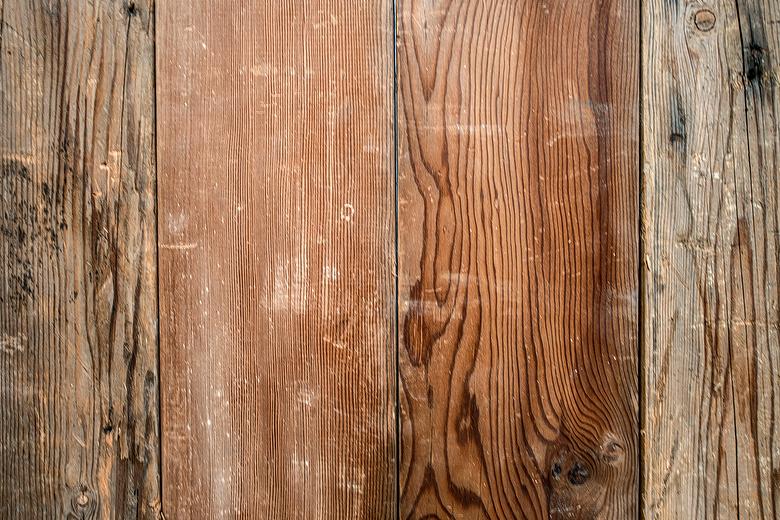 Douglas Fir Smooth (Mira Loma) Close-Up
