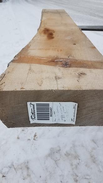 Barcode #230497