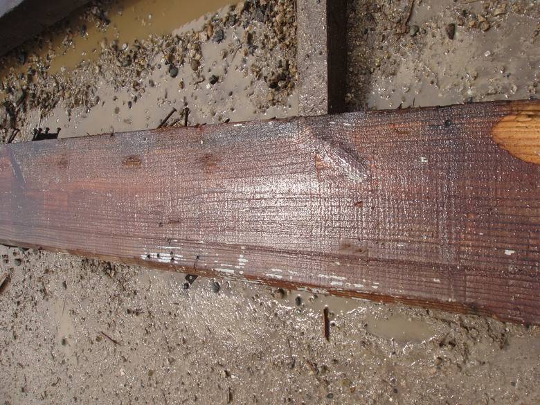 Antique Pine (dressed) Weathered Timbers / Pressure Washed--wet