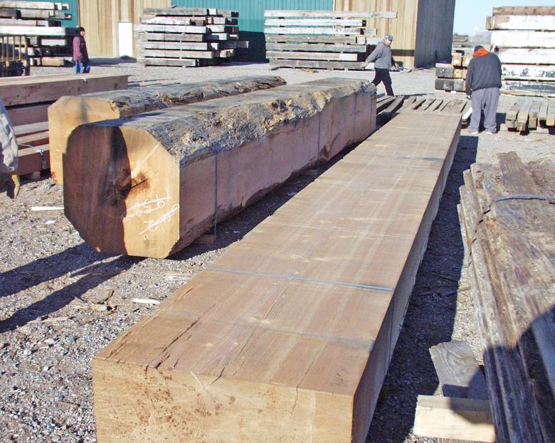 Large DF timbers