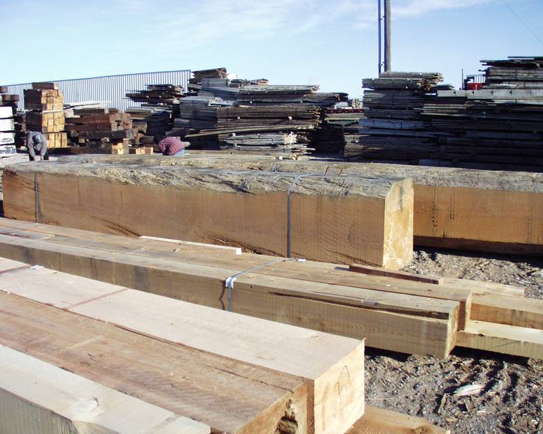 Large DF timbers