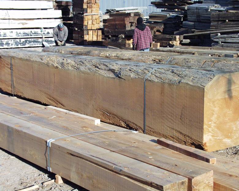 Large DF timbers