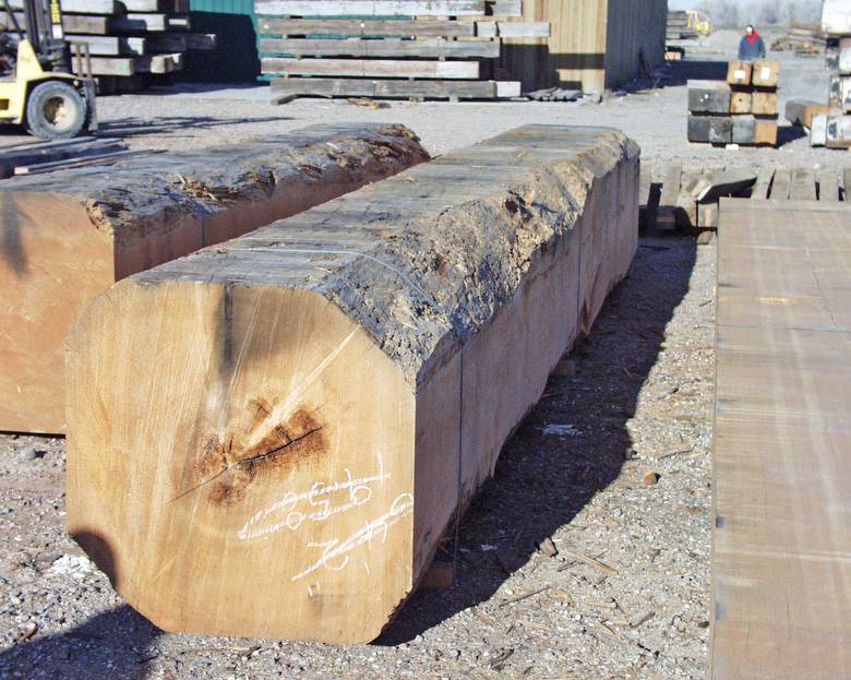 Large DF timbers