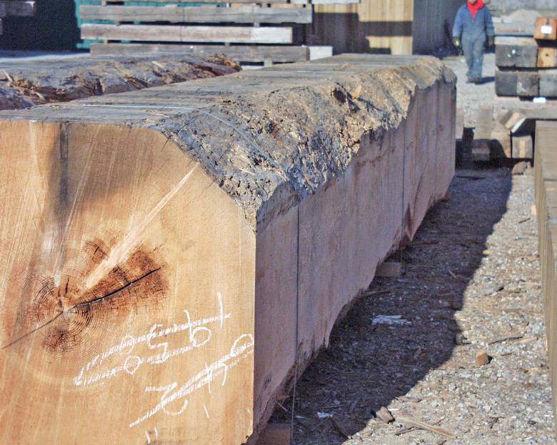 Large DF timbers