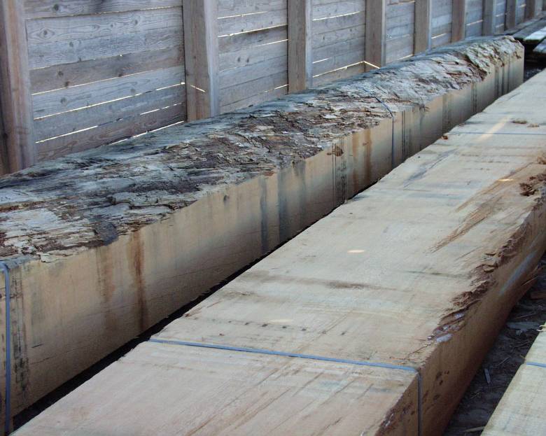 Large DF timbers