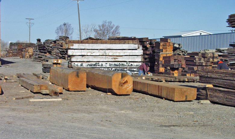 Large DF timbers