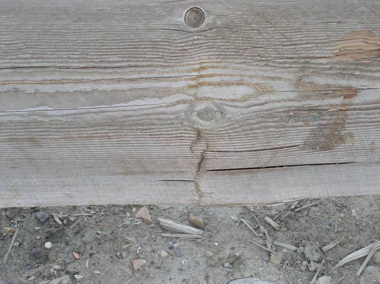 Weathered TWII Timbers