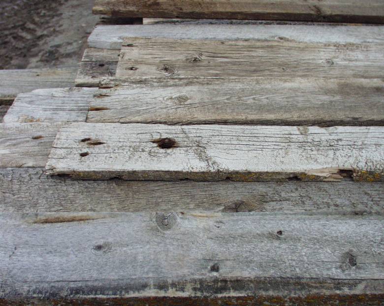 Grey barnwood / grey color variations