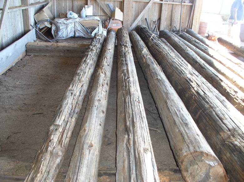 Western Red Cedar Telegraph Poles / Rustic WRC Poles