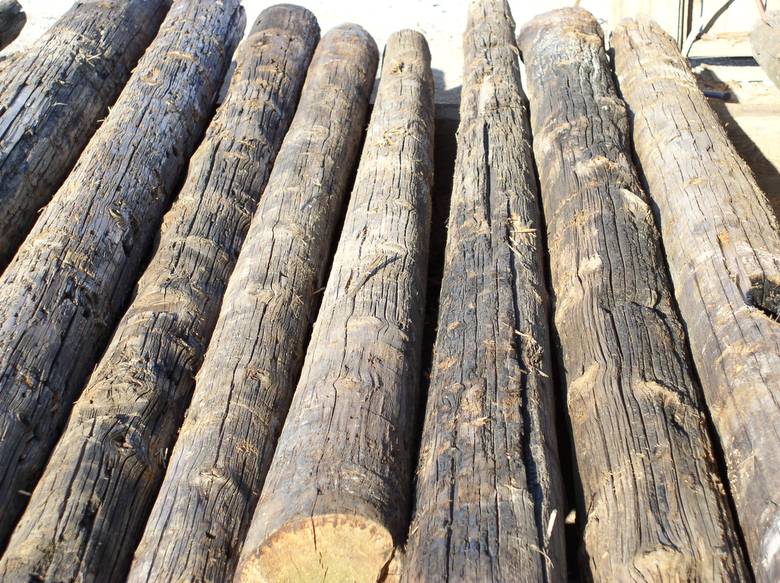 Western Red Cedar Telegraph Poles / Rustic WRC Poles