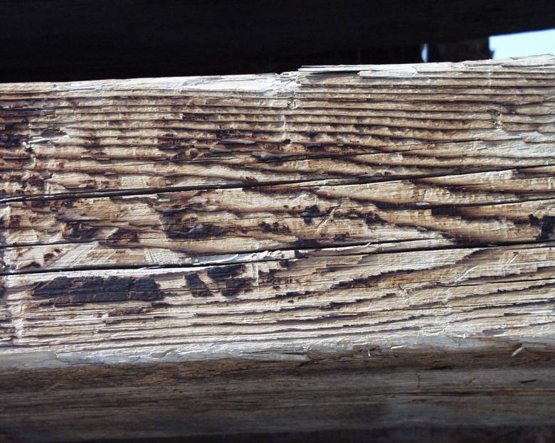 6x12 Weathered Timbers / Smooth texture
