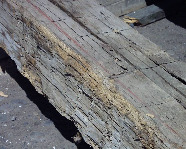 Hand Hewn Timbers