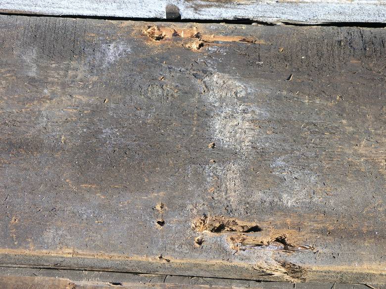 2x13 brown barnwood / Oil residue shown