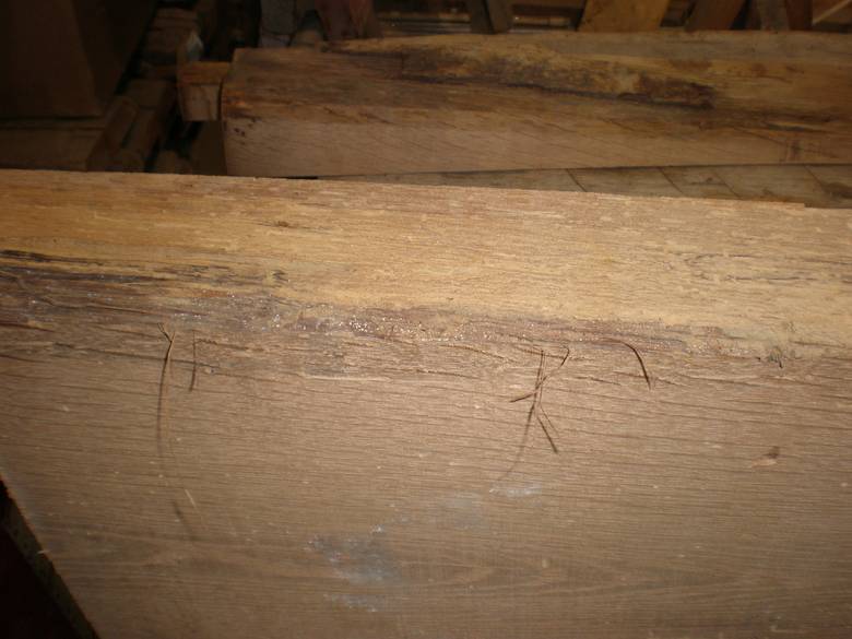 3x13 x 8' Oak Stair Tread / Note worm tracks and slight wane