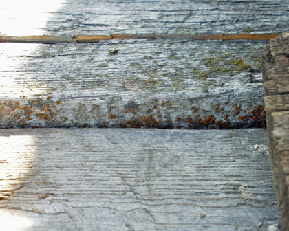 2x8 Gray barnwood closeup