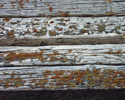 2x8 Gray barnwood - edges