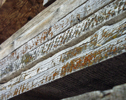 2x8 Gray barnwood - edges