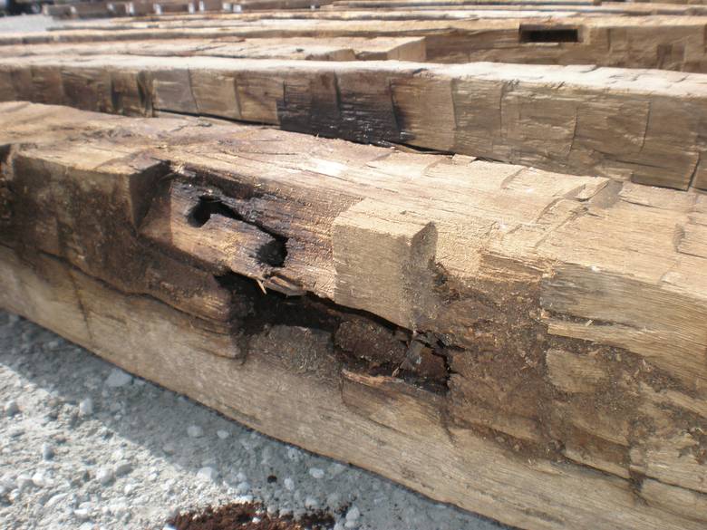 Oak Hand Hewn Timbers