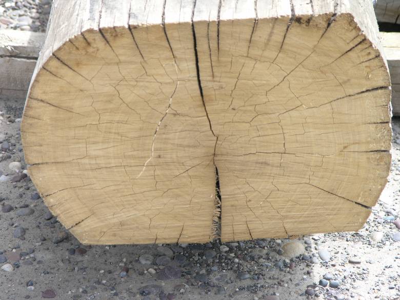 Hardwood Sleeper Logs
