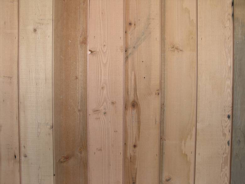 DF Siding Shiplap with Reveal