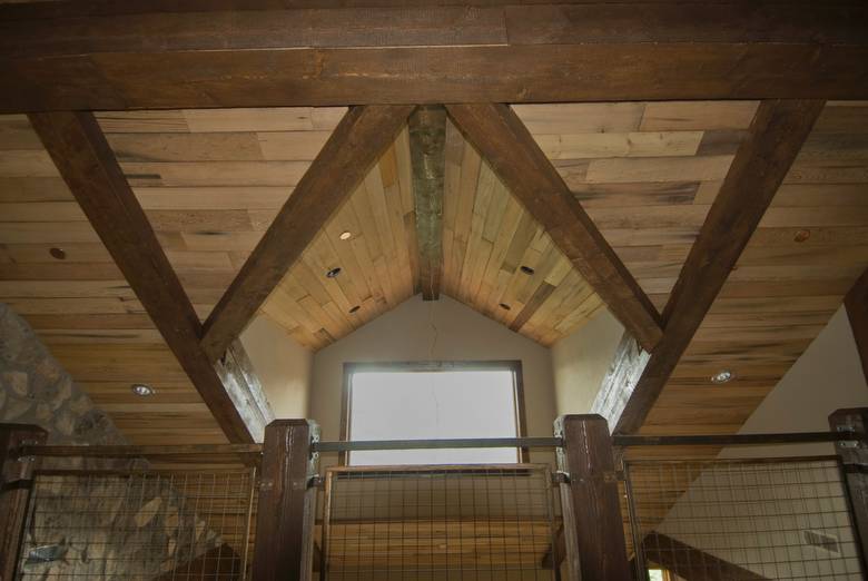 Picklewood Skins - Ceiling. Back (non-weathered) side visible.