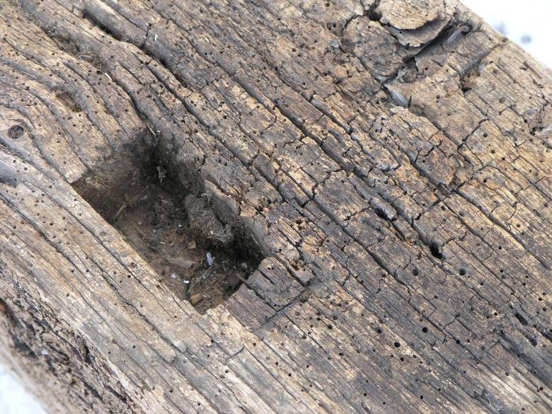 #1 / Close-Up face showing texture