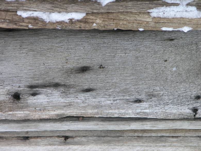 Weathered Oak  / naily