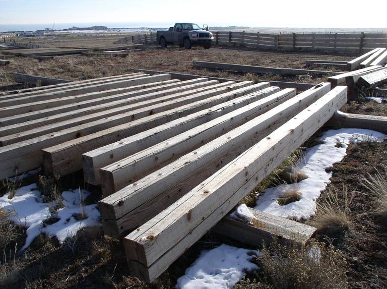 WRC Cedar Timbers / These timbers were cut from old telegraph poles