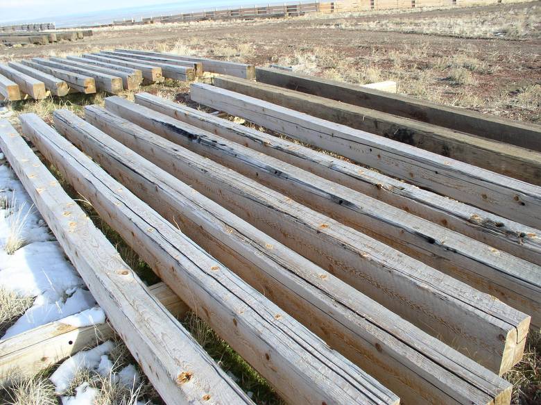 WRC Cedar Timbers / These timbers were cut from old telegraph poles