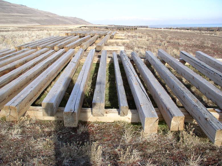 WRC Cedar Timbers / These timbers were cut from old telegraph poles