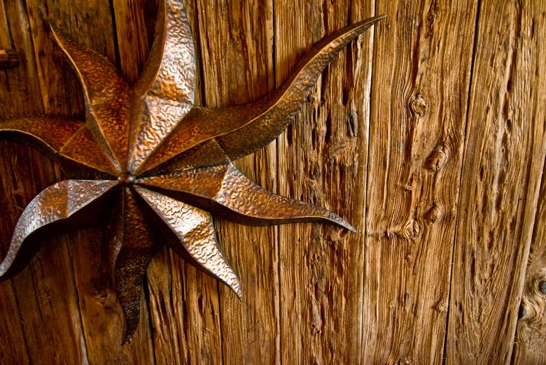 Mushroomwood Close-Up / Mushroomwood Close-Up