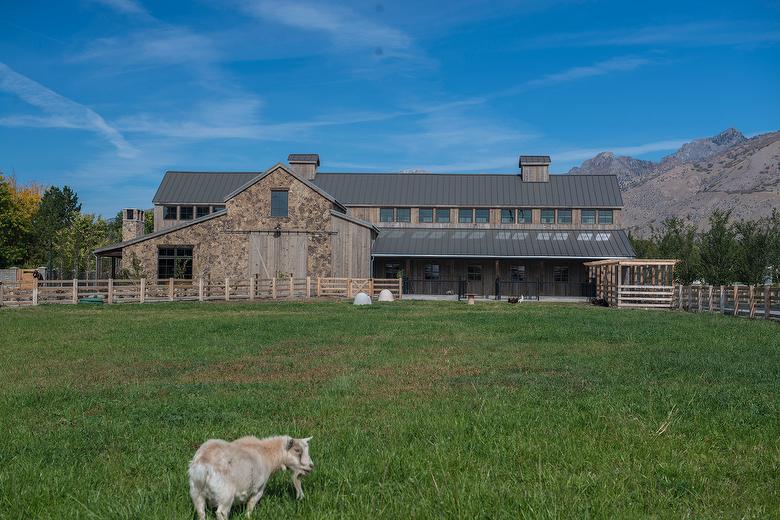 NatureAged Gray Barnwood Siding, Trim, and Barn Doors